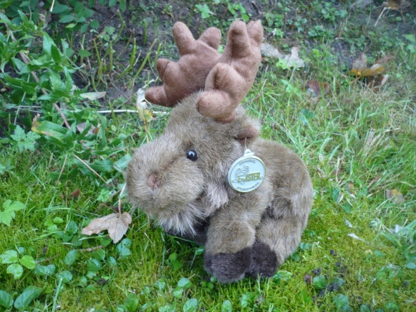 Kuscheltier Elch klein 15cm für Kinder